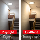 Luxblend UK.webp